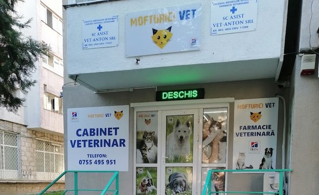 rotation Somehow avoid Cel (cea) mai bun(ă) Spitale veterinare din apropierea mea în Iași -  Nicelocal.ro